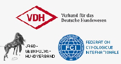 VDH-FCI-